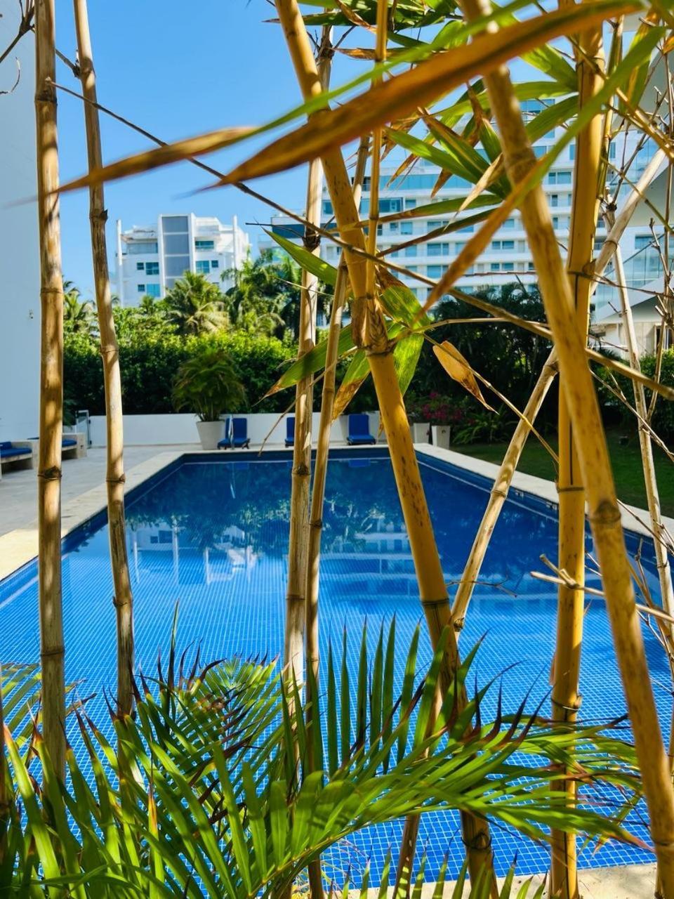 Apartamento Morros Vitri California